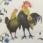 Profile picture of Temucas