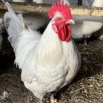 Profile picture of Brandi