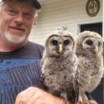 Profile picture of ShinDig