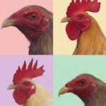Profile picture of Karl