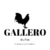 Profile picture of Gallero Rufin