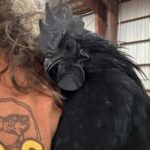 Profile picture of Meanderingcreekfarms