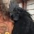 Profile picture of Meanderingcreekfarms